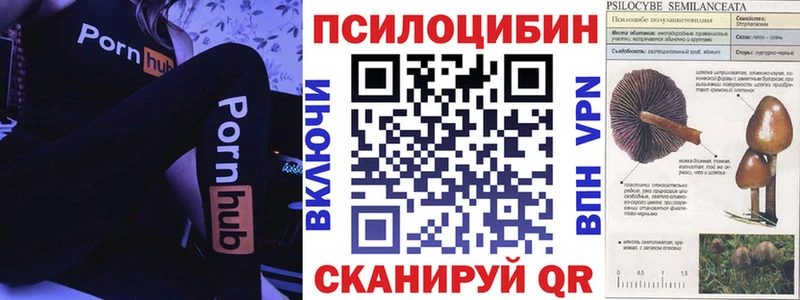 Псилоцибиновые грибы MAGIC MUSHROOMS  Пыть-Ях 