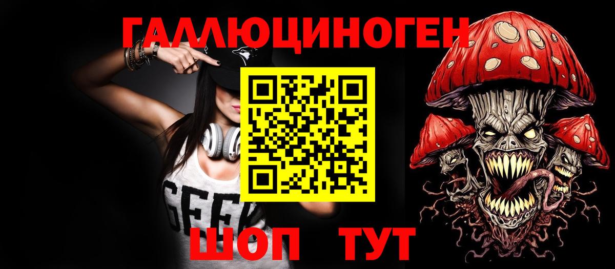 Псилоцибиновые грибы Psilocybe Пыть-Ях